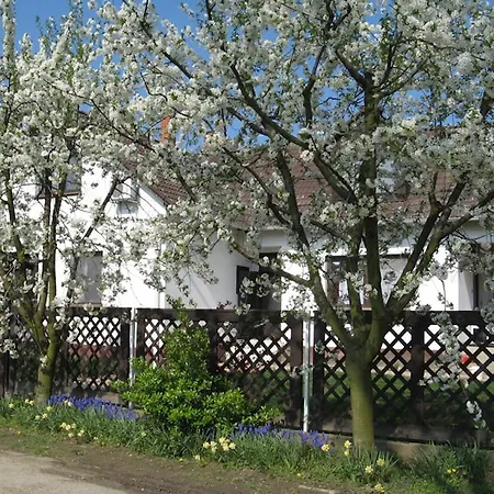 Nagy Vendeghazak Apartment